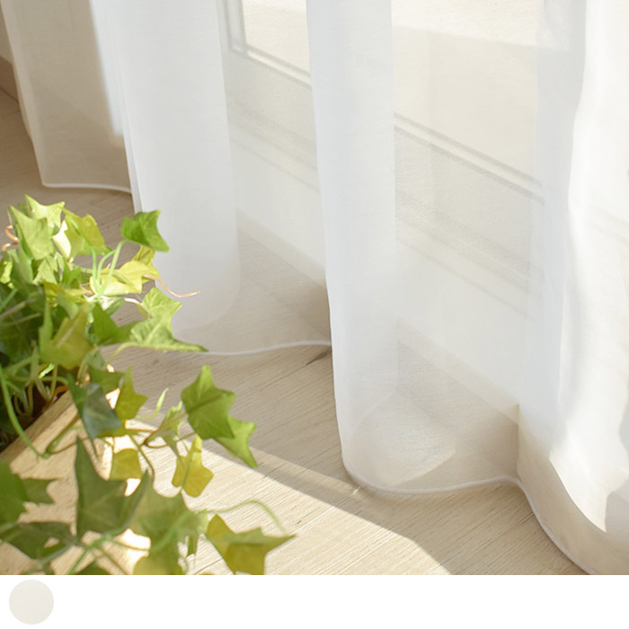 ボイルレース　キラリ