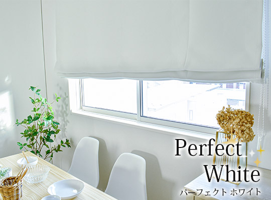 パーフェクトホワイト
