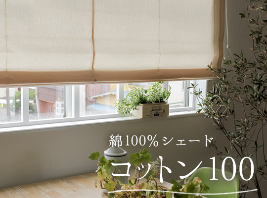 コットン100