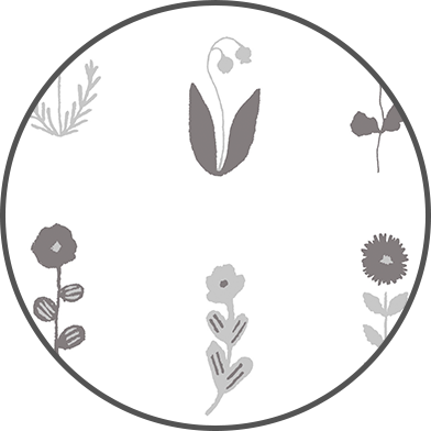 十二花譜