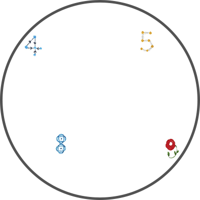花数字