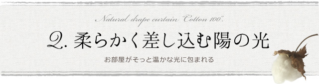 2.柔らかく差し込む陽の光