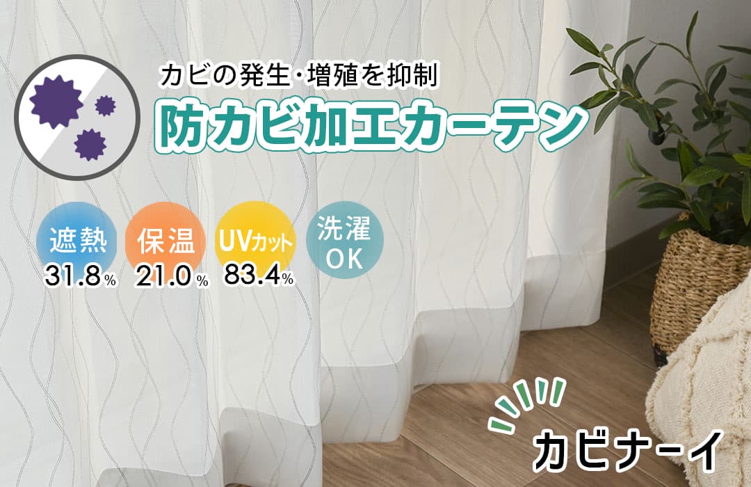 防カビ加工レースカーテン｜梅雨時の湿気やカビ対策におすすめ