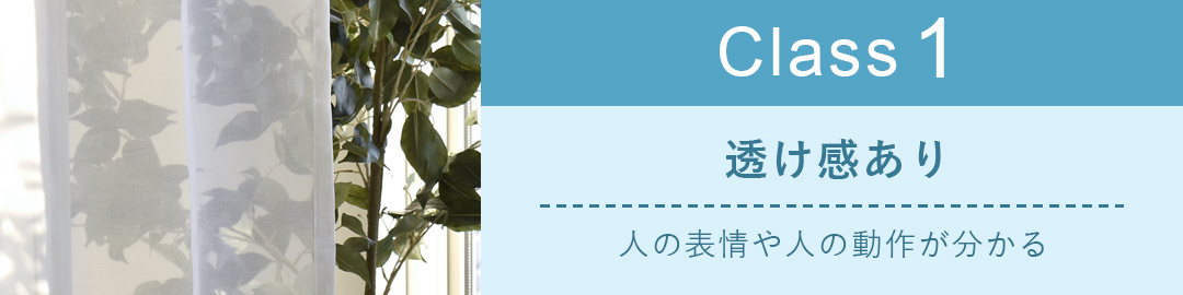 透け感ありのレースカーテン｜クラス1 日中は外の景色が見えるタイプ