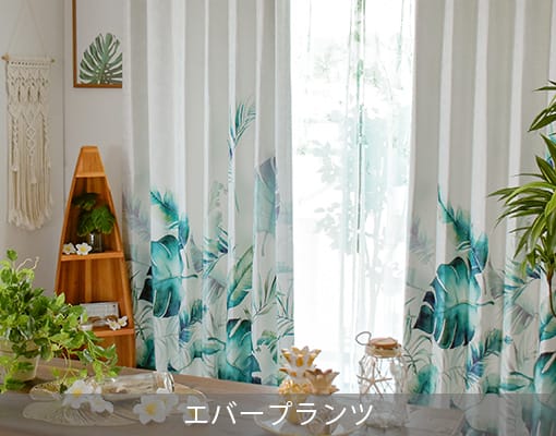 エバープランツ