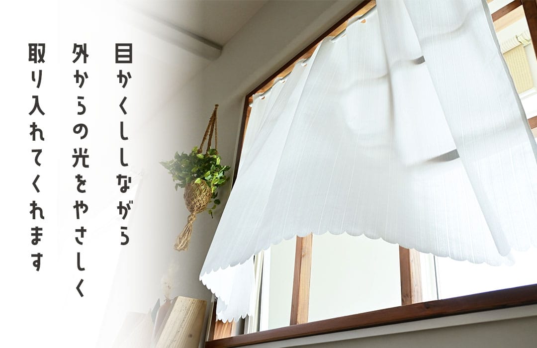 カフェカーテンが風になびいている画像