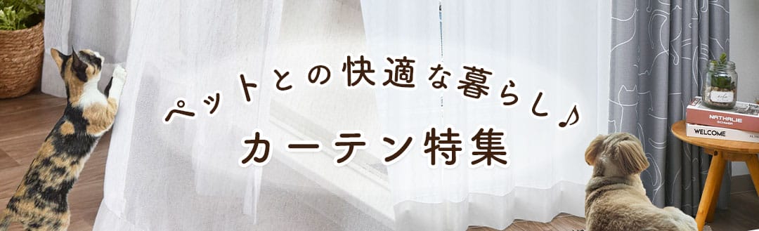 ペット特集