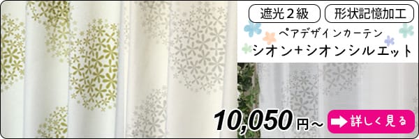 シオン＋ペアレースセット