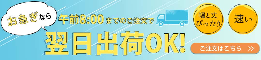 翌日出荷　リーガレース