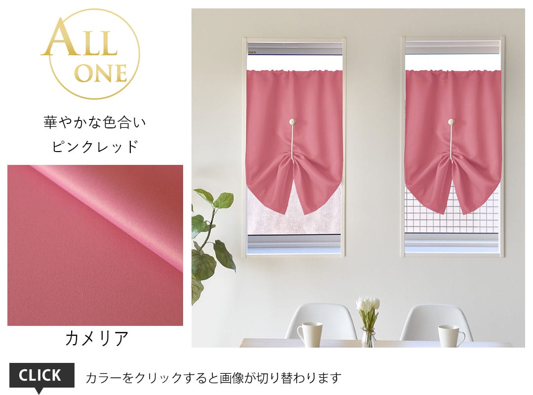 33カメリア