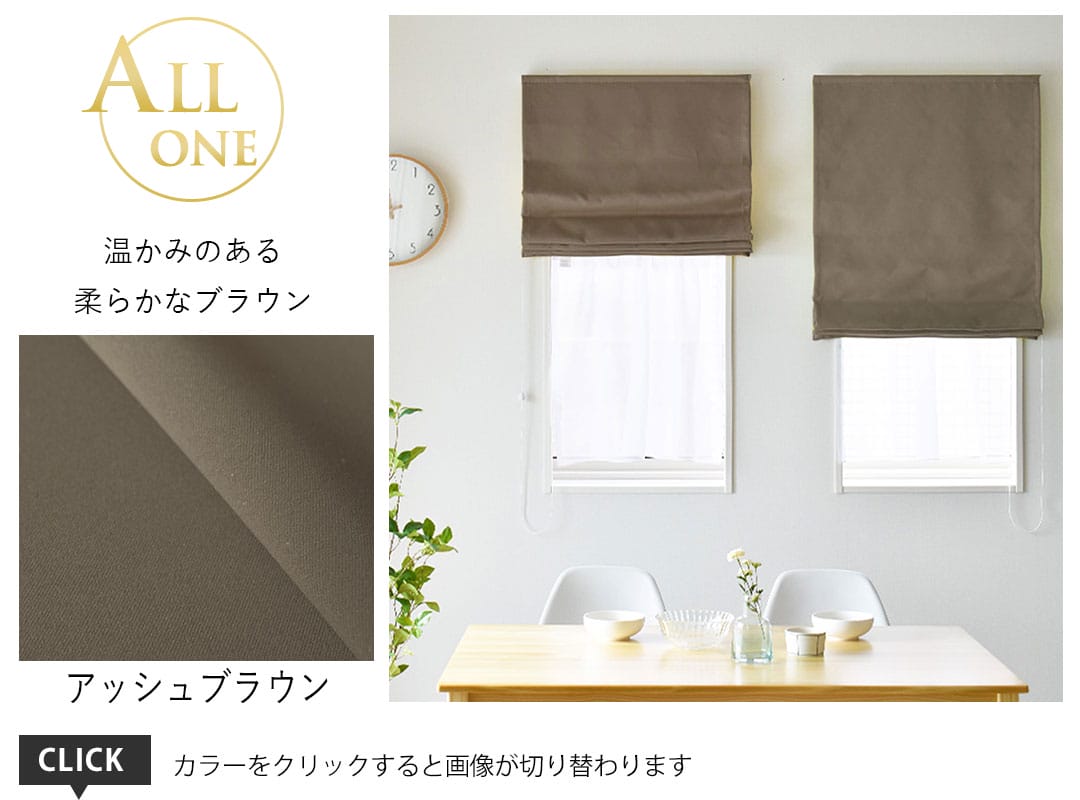 シェード オールワン アッシュブラウン