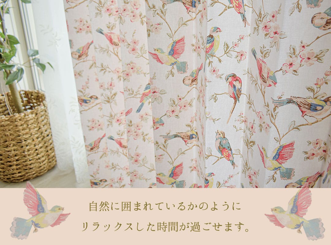 キャスキッドソン ブリティッシュバード