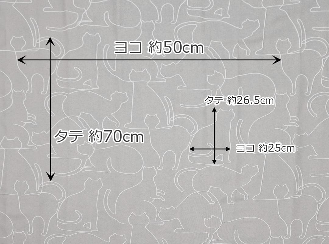 キャットコントゥア