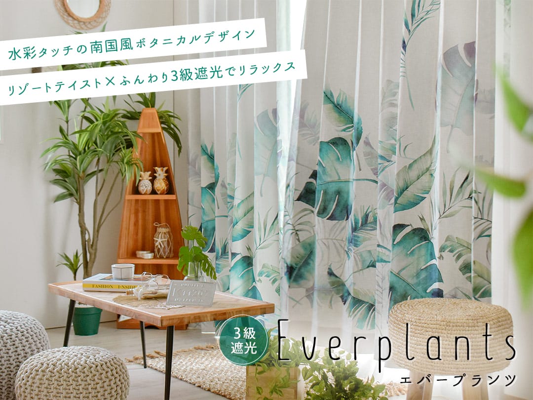 エバープランツ