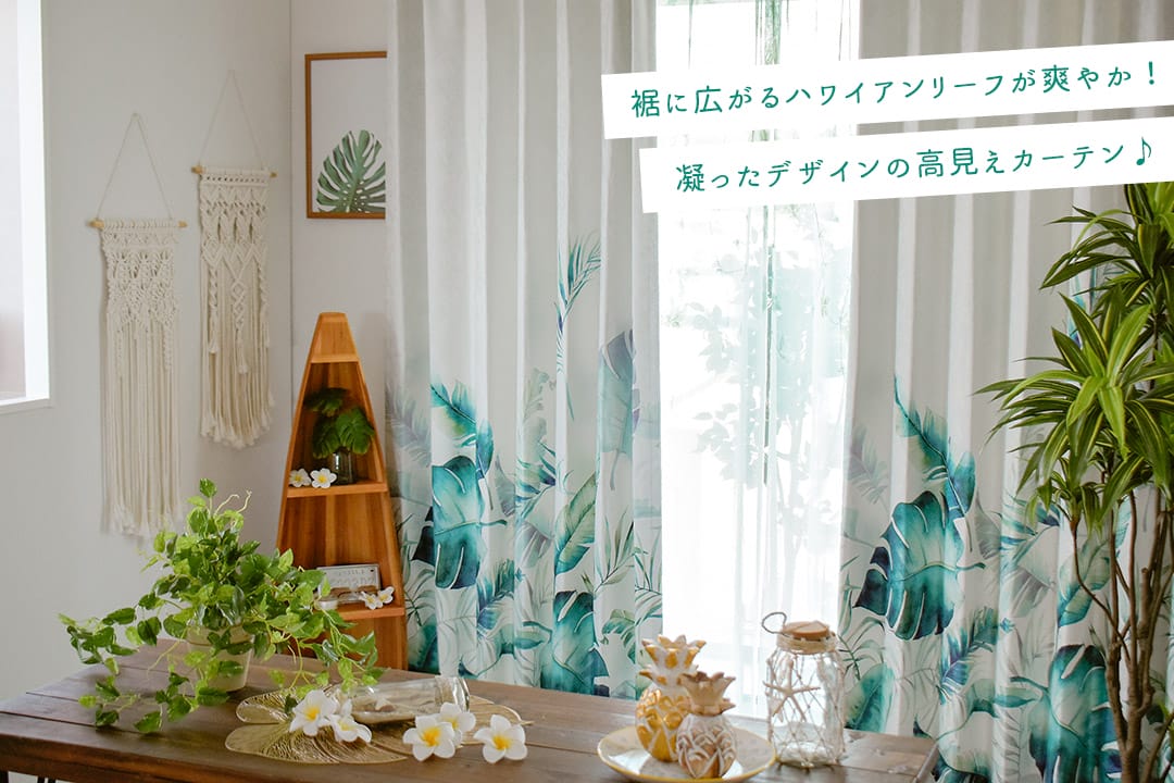 エバープランツ