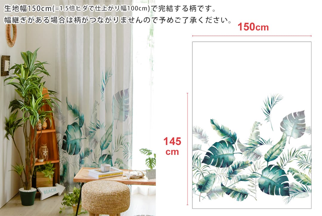 エバープランツ