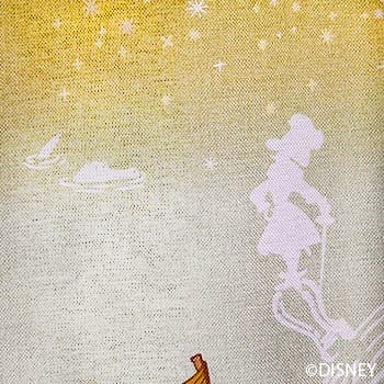 フライインザスカイ｜ピーターパン｜Disney