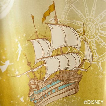 フライインザスカイ｜ピーターパン｜Disney