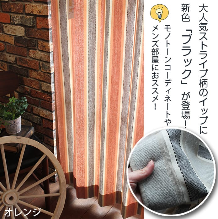 イップ　カラー