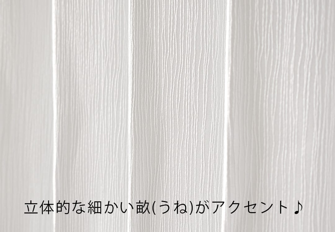 リッジ