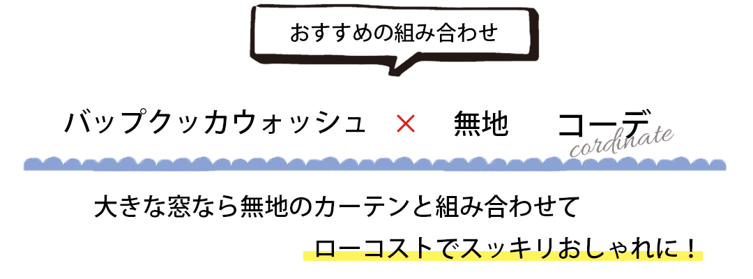 バップクッカウォッシュと無地のコーディネート