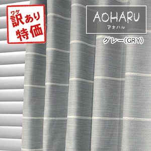 訳あり　アオハル