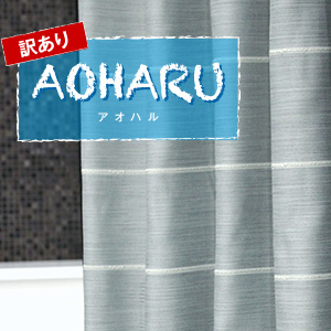 訳あり　アオハル