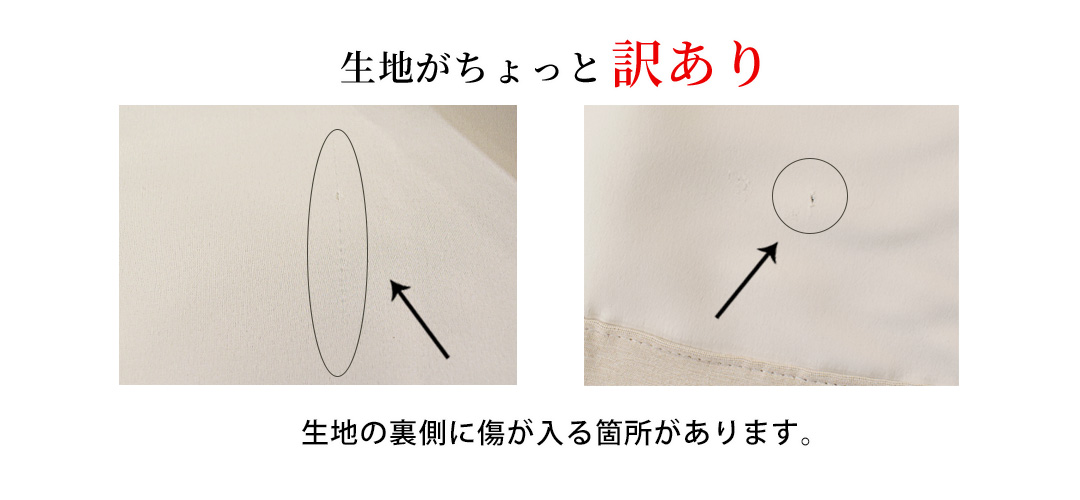 サニーディ訳あり箇所
