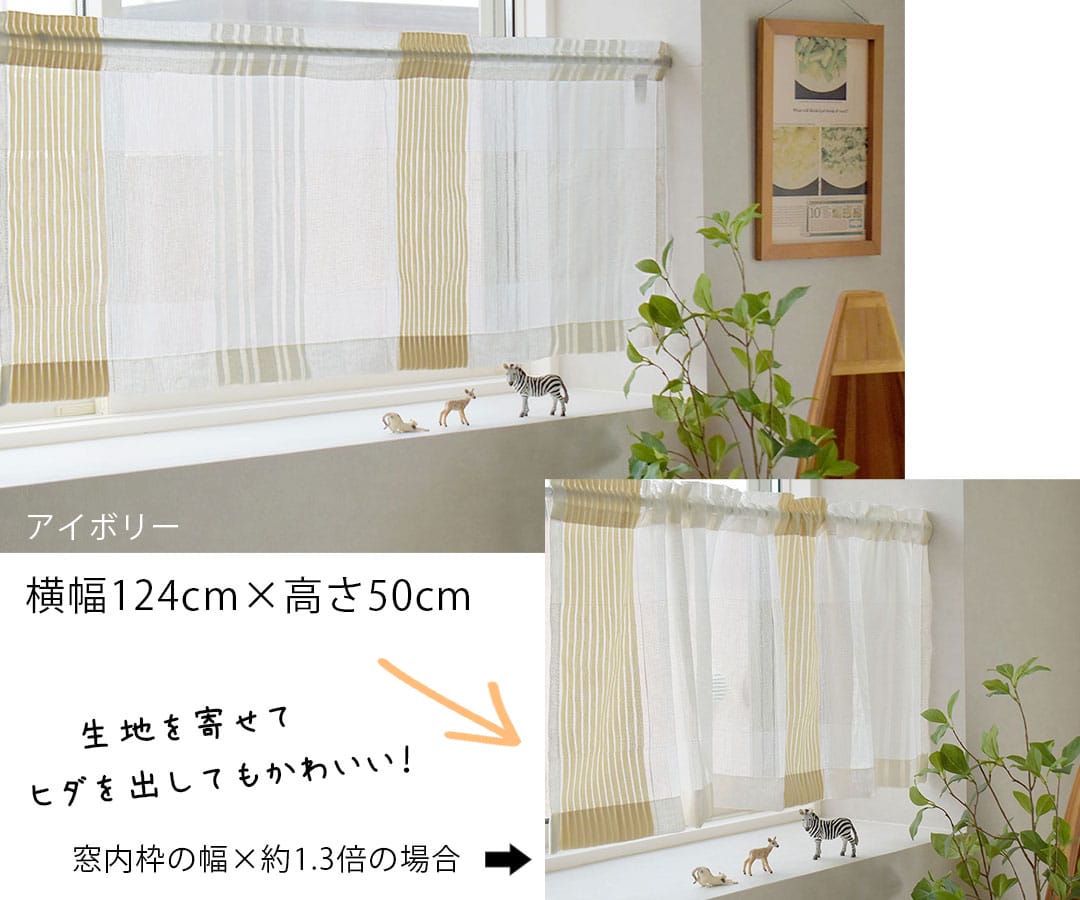 アイディンレース