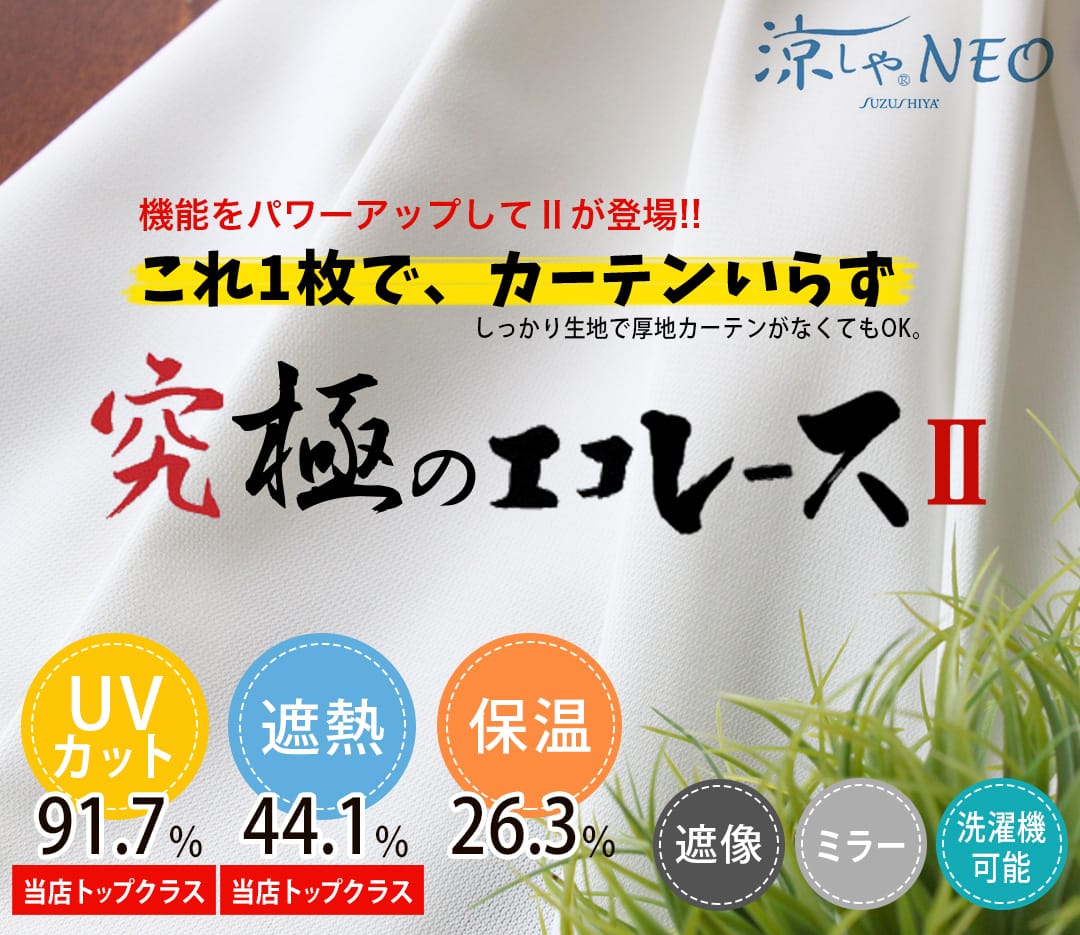 究極のエコレース2