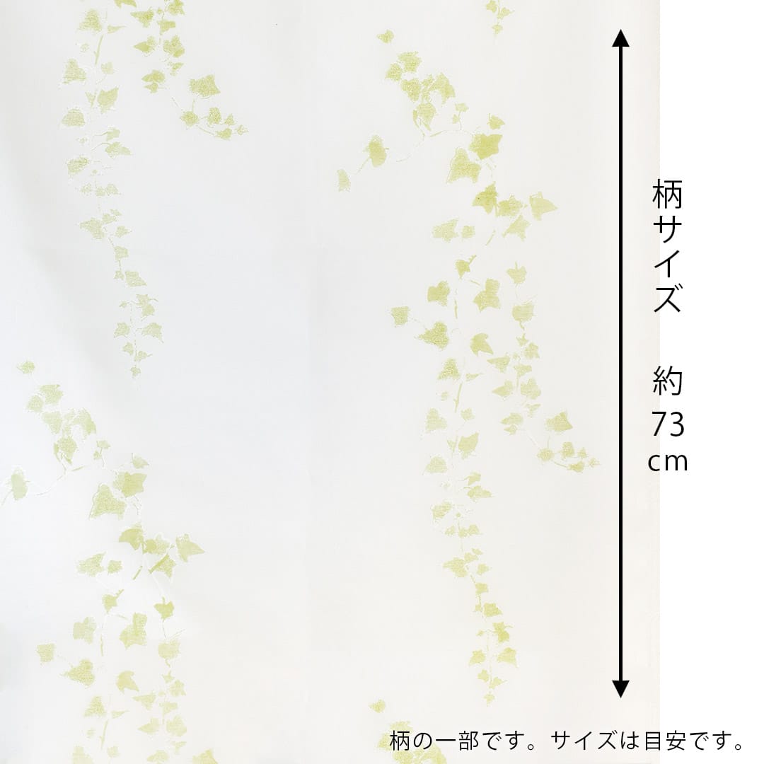 ヘデラ