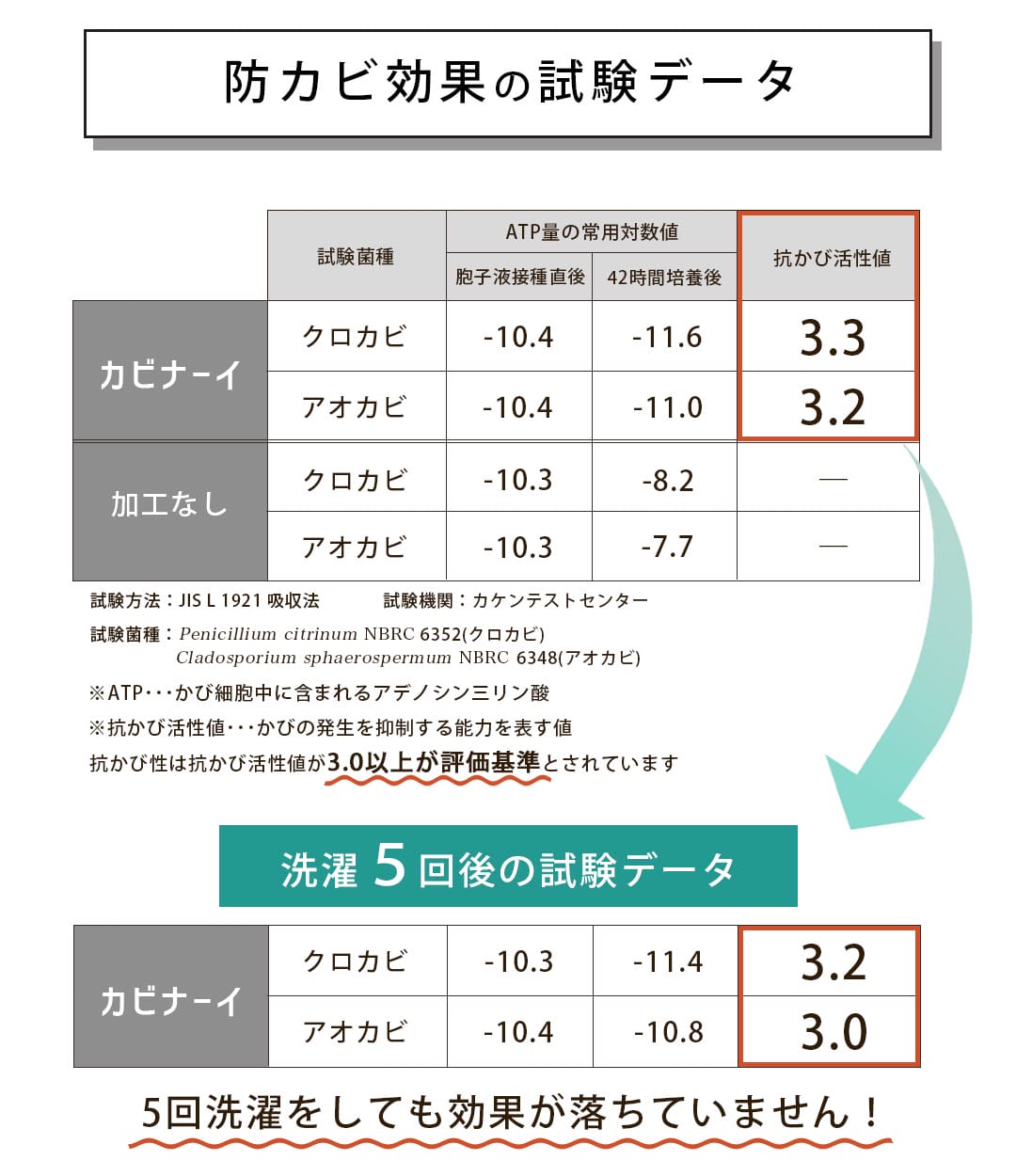 防カビ効果の試験データ