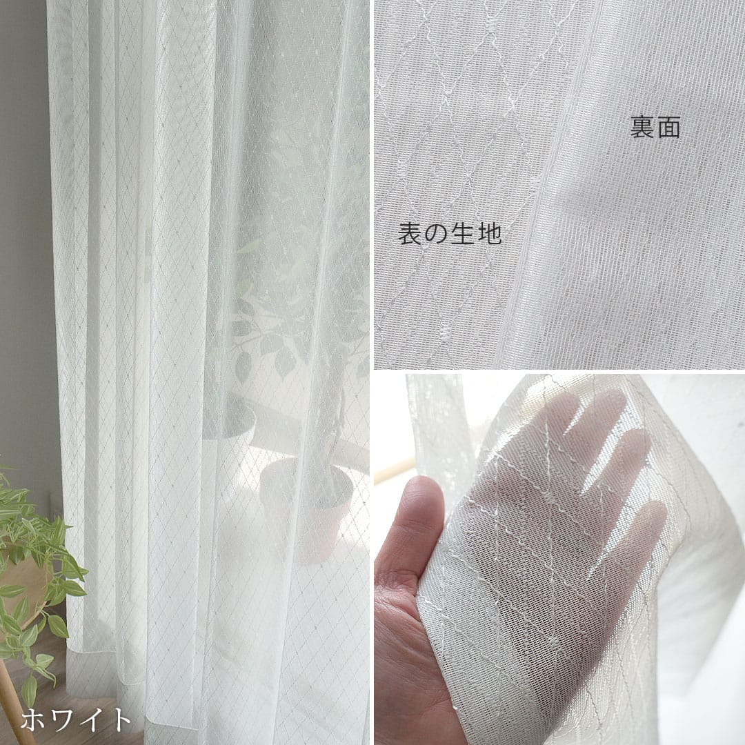 ホワイト