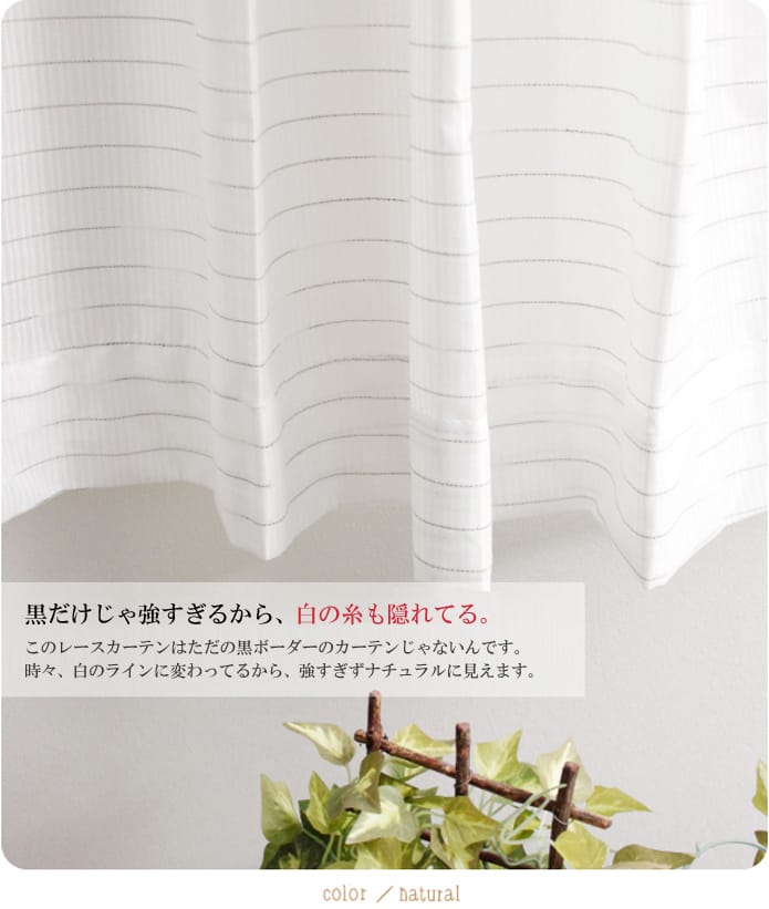 クーヘン