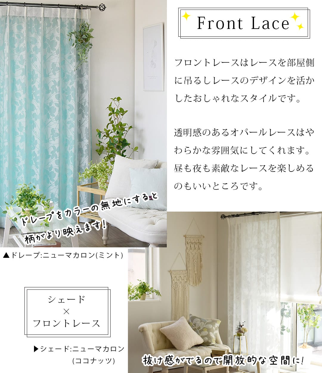 リーフダンス フロントレース