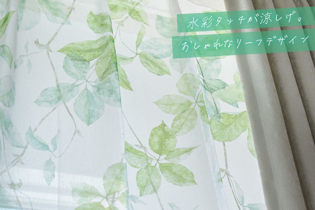 リーフシャワー