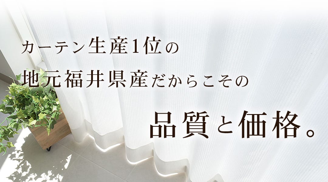 ミエーヌプラス