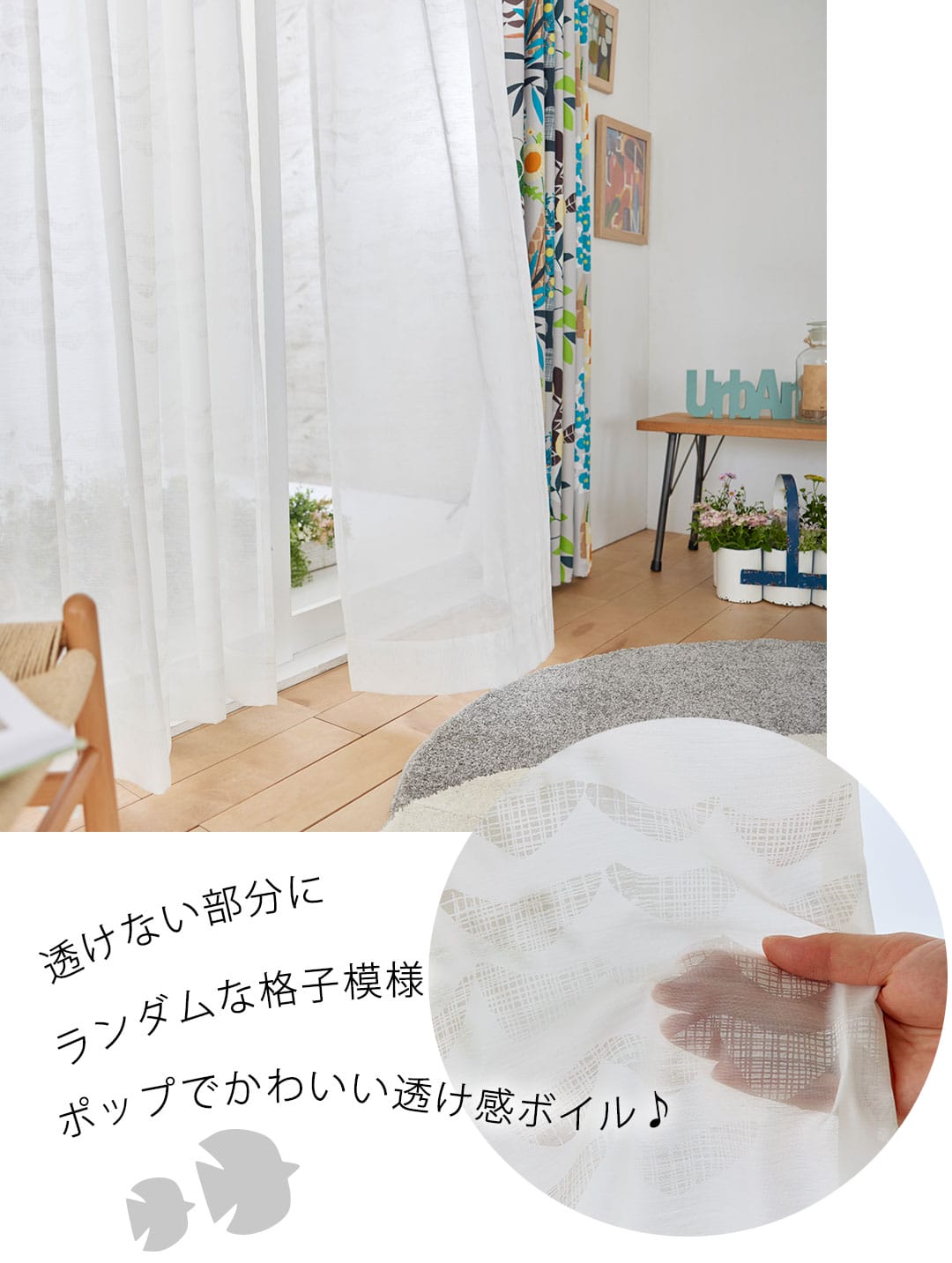 ナミナミボイル