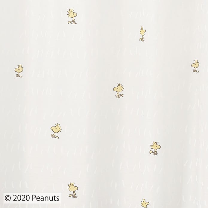 チャットウェイボイル
