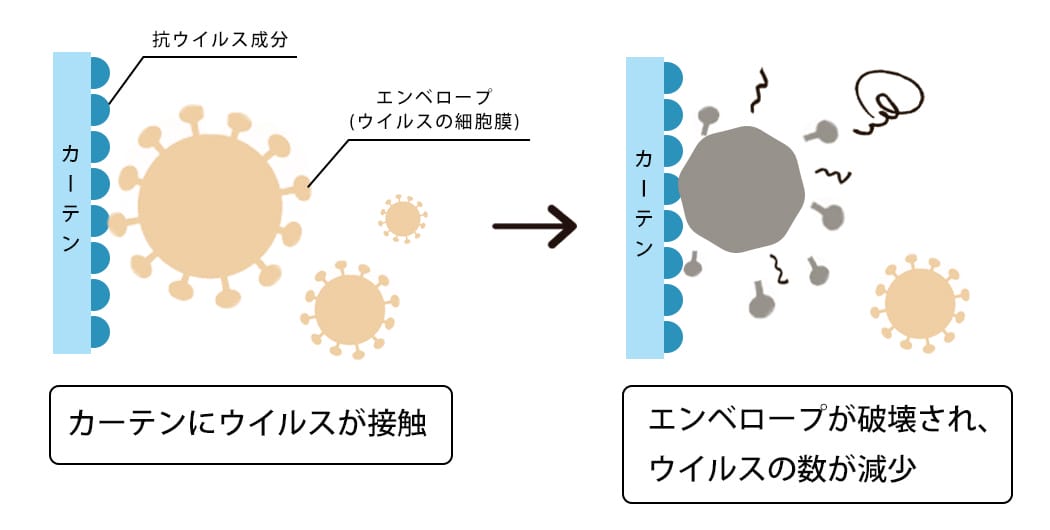 抗ウイルスのメカニズム