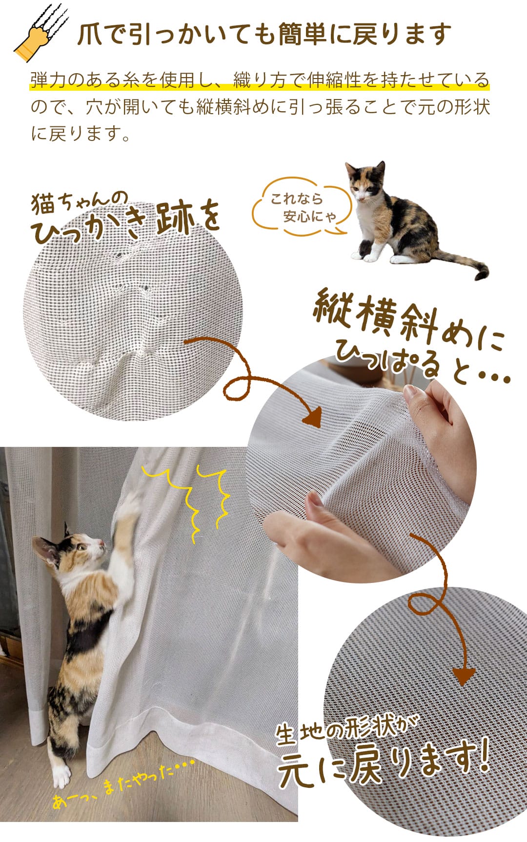猫専用レースカーテンリストア