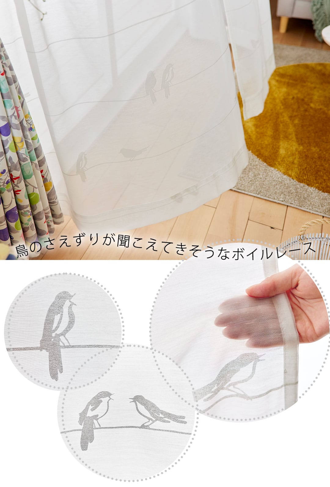 シングバードボイル