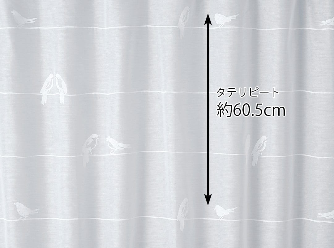 シングバードボイル