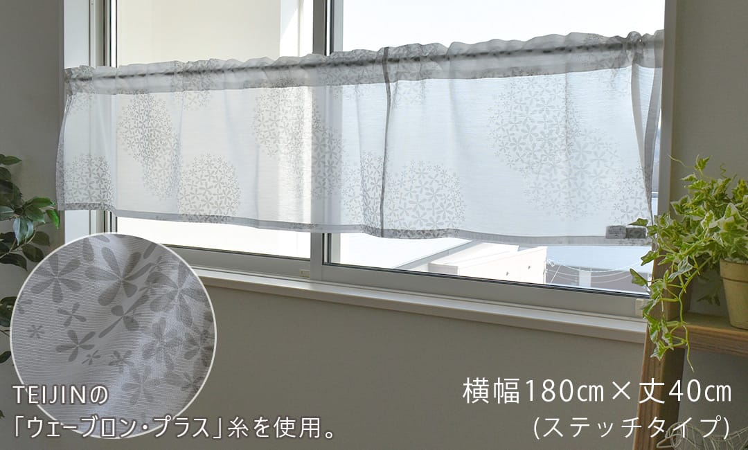 シオンシルエット