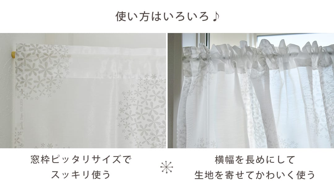 シオンシルエット