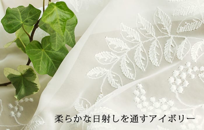 ソフトリーブス