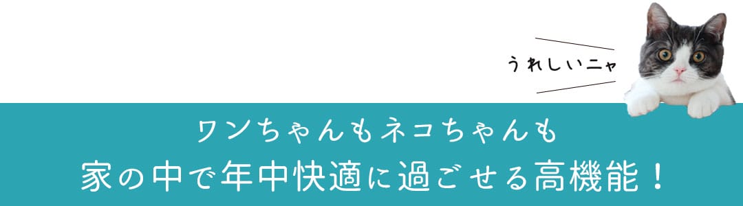 帝人エコリエ高機能レース