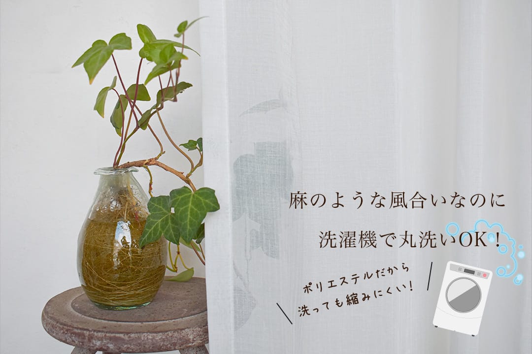 ザラ ZARA