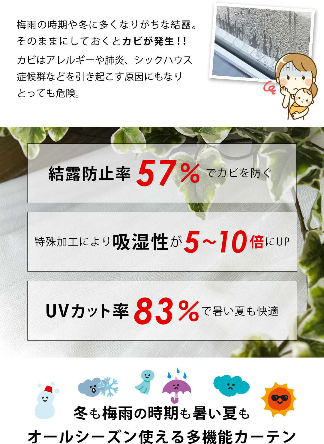 すいとるん
