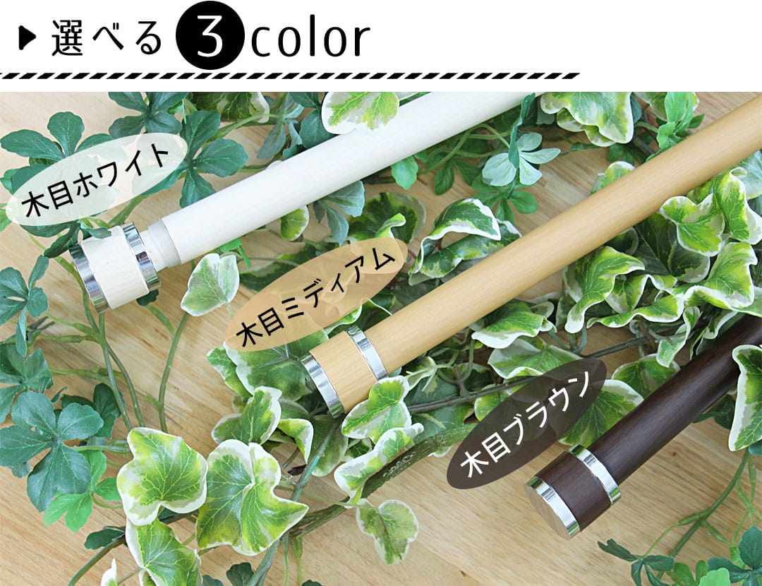 フェスタ3色から選べます
